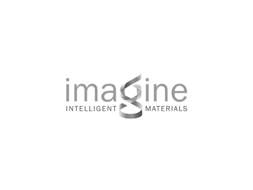 web_logo_imagine